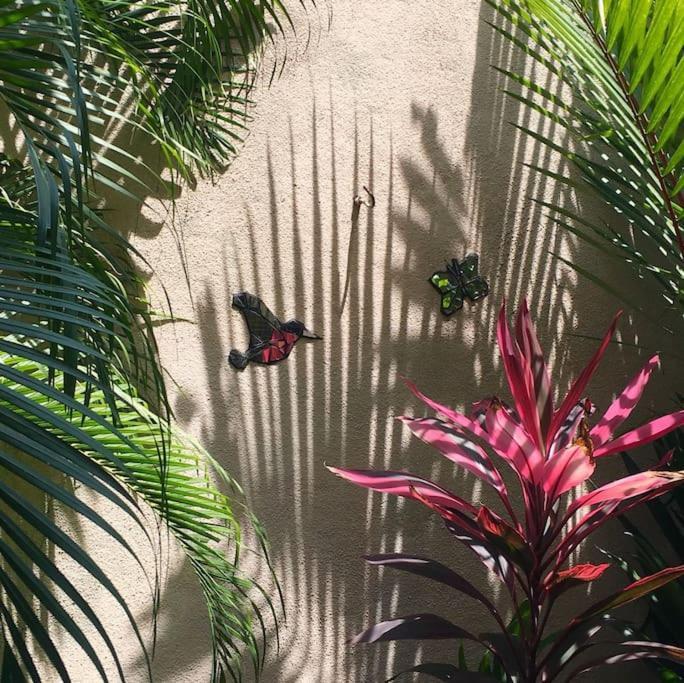 A Tropical Paradise; Stunning House, Pool, Garden Villa *