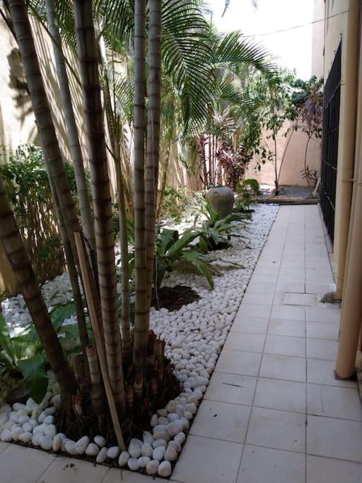 A Tropical Paradise; Stunning House, Pool, Garden * Wattala