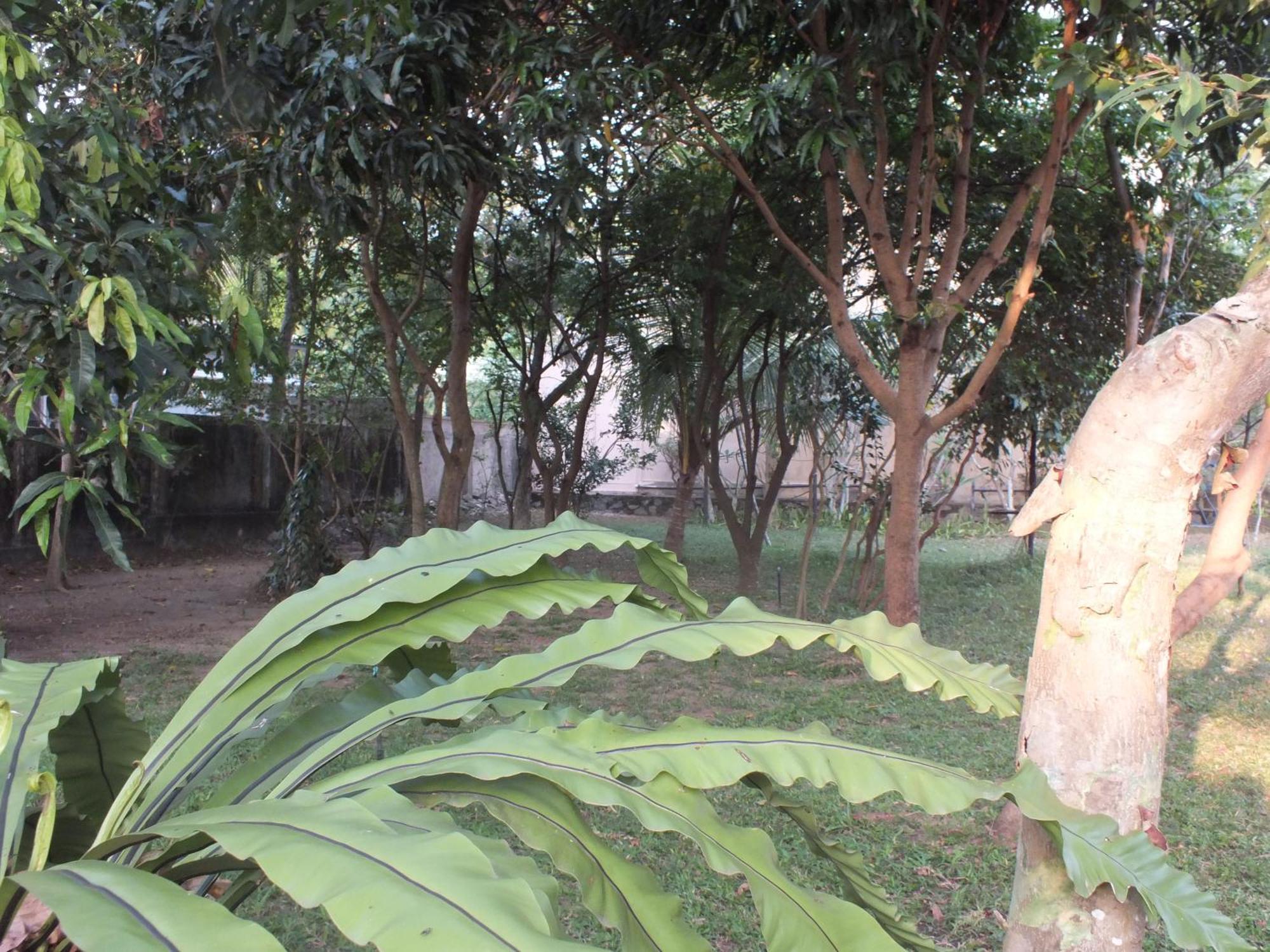 A Tropical Paradise; Stunning House, Pool, Garden Villa *