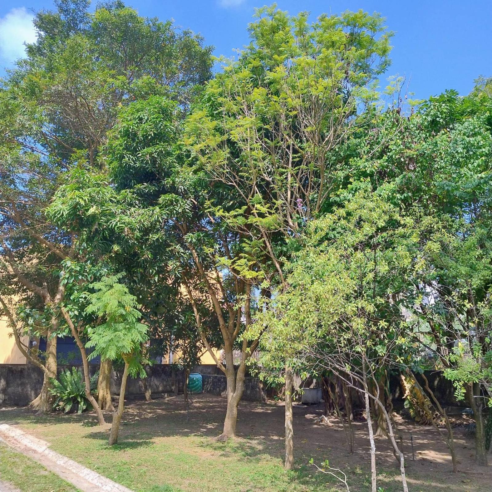 A Tropical Paradise; Stunning House, Pool, Garden * Wattala