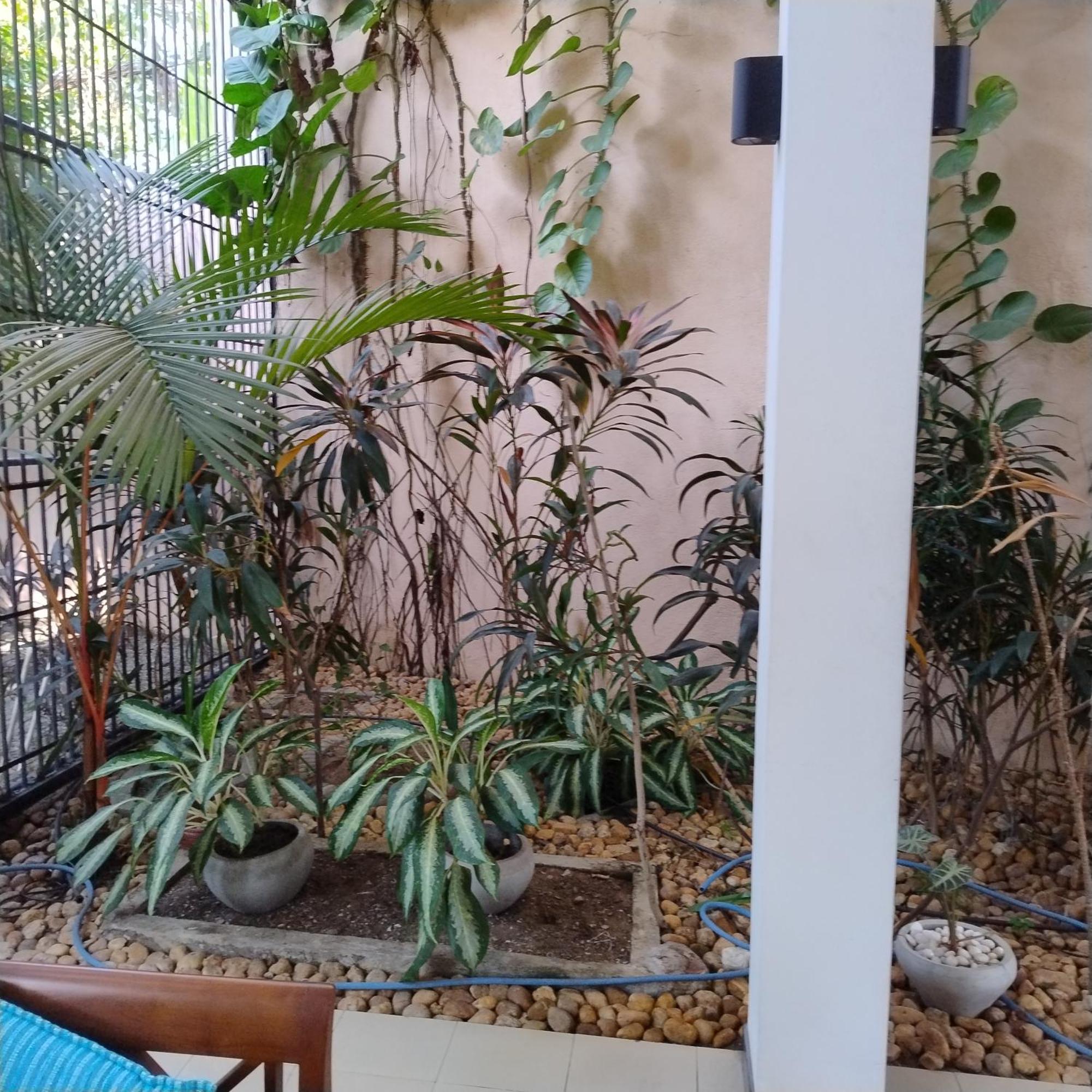 A Tropical Paradise; Stunning House, Pool, Garden Villa Wattala